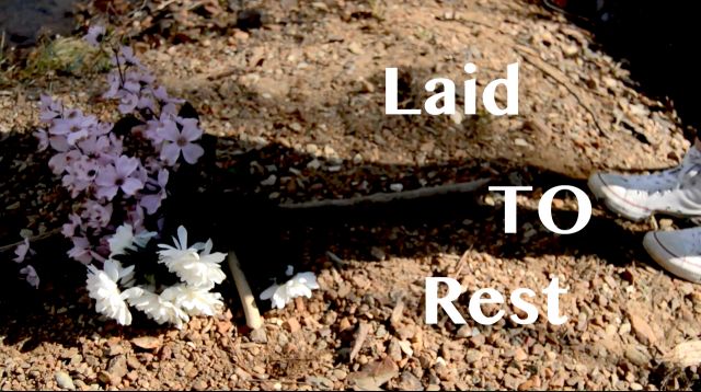 Laid to Rest 
