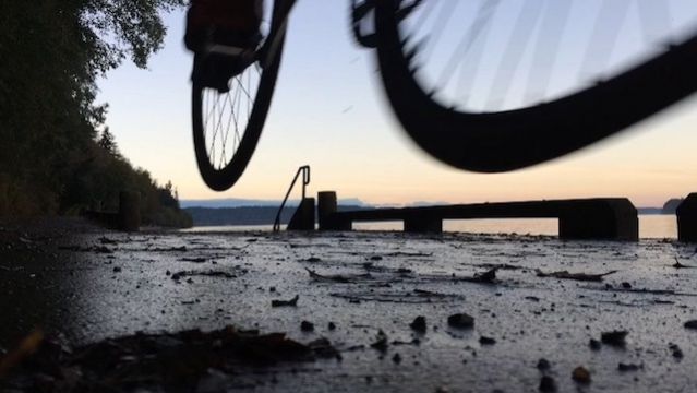 Word Tigers Video Haiku