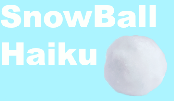 Pets & Snowballs