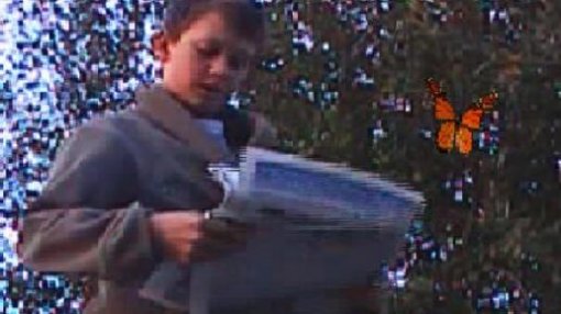 MonsterDiscrimination