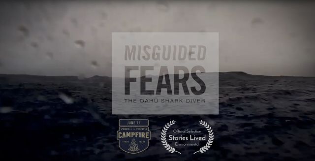 Misguided fears