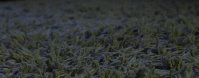 The Thing Under The Rug