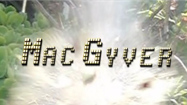 MacGyver - James Lincoln