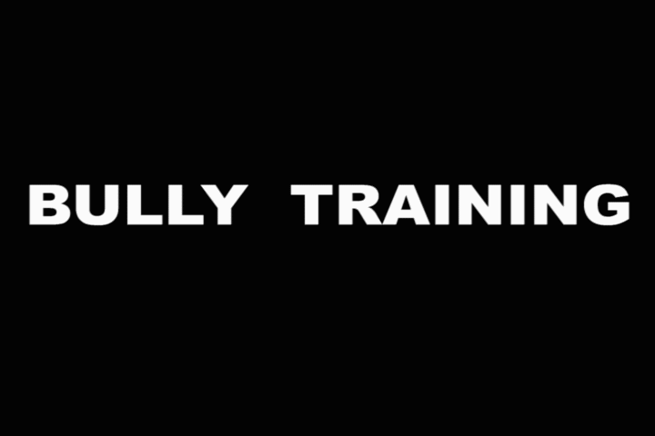 Bully Training