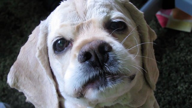 Revenge tastes like...