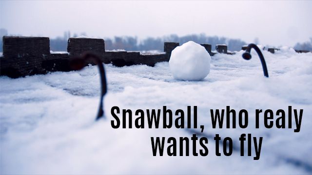 Snowball wants to fly