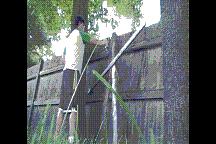 Christ Daily: a video Haiku